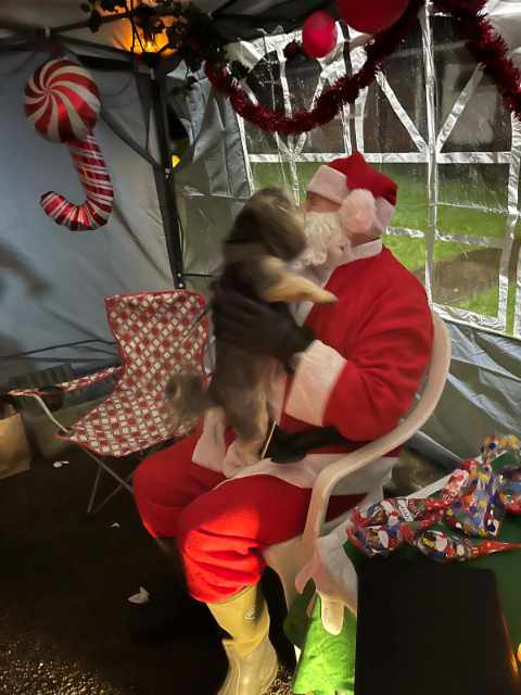 Lyme Green Community Park. Photo from Christmas Event 2024