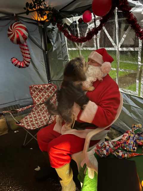 Lyme Green Community Park. Photo from Christmas Event 2024